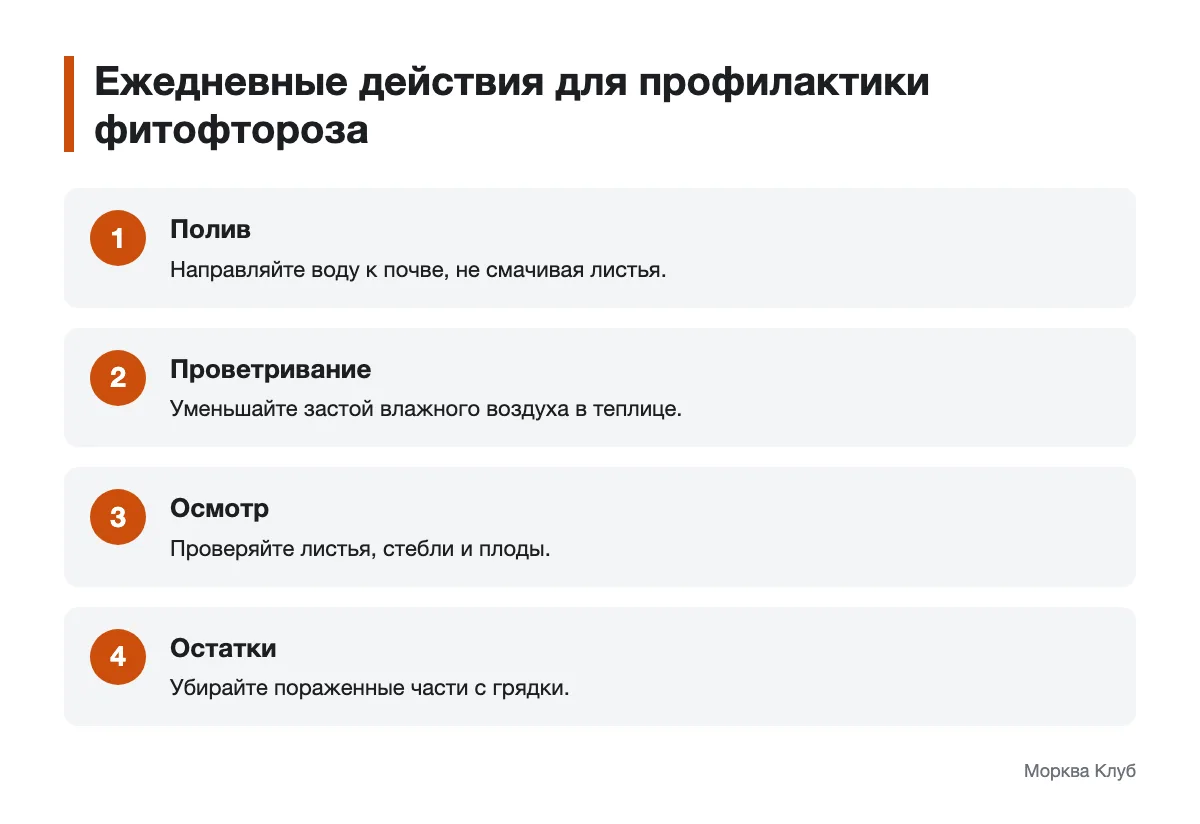 Схема профилактических действий: полив, проветривание, осмотр и уборка остатков