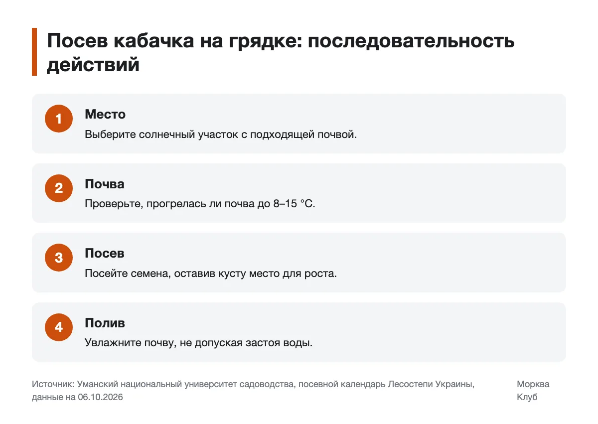 Этапы посева кабачка в открытый грунт Подготовка места, проверка почвы и посев кабачка по шагам