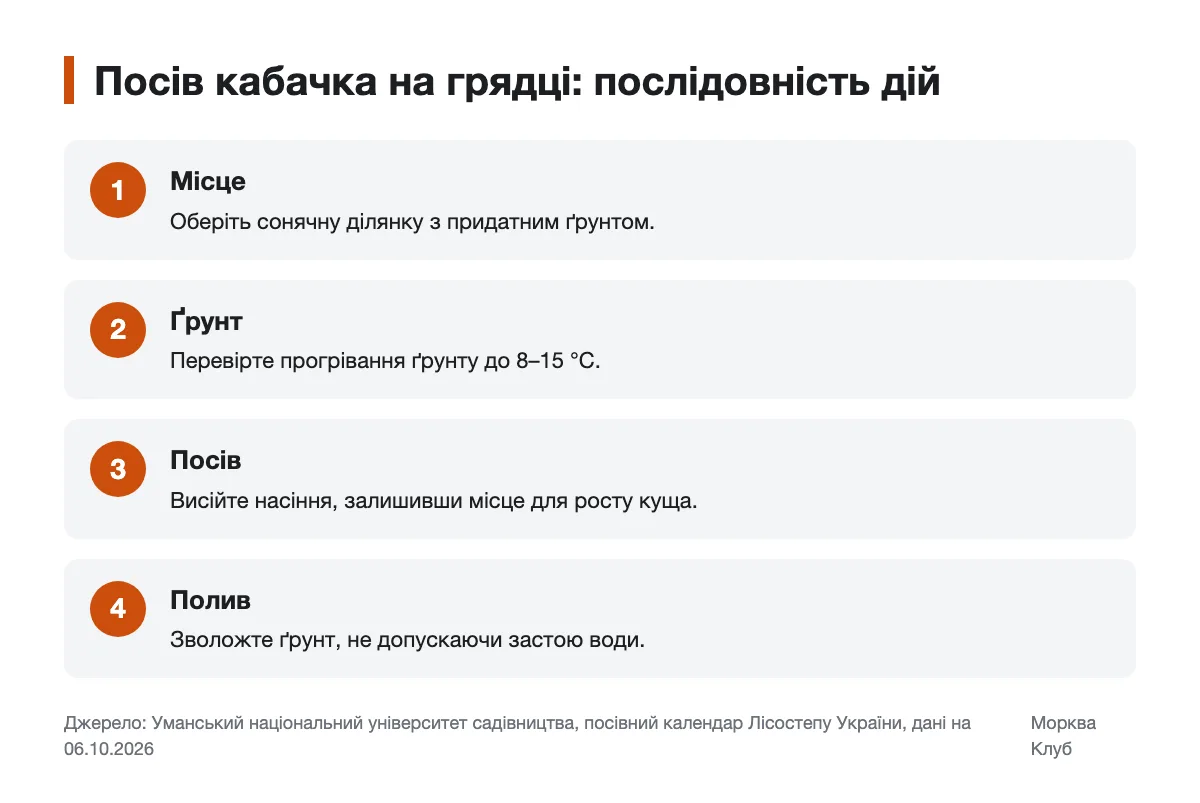Кроки посіву кабачка у відкритий ґрунт Послідовність підготовки місця, перевірки ґрунту та посіву кабачка
