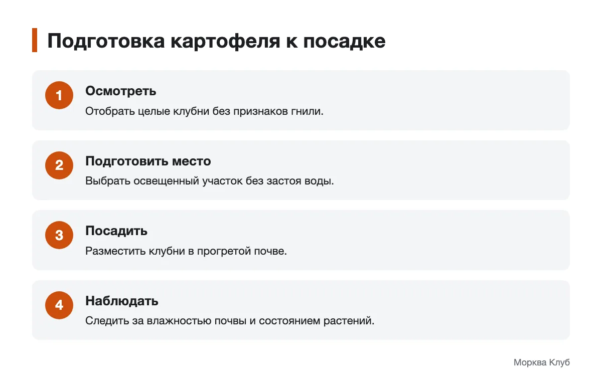 Последовательность подготовки клубней и участка к посадке картофеля