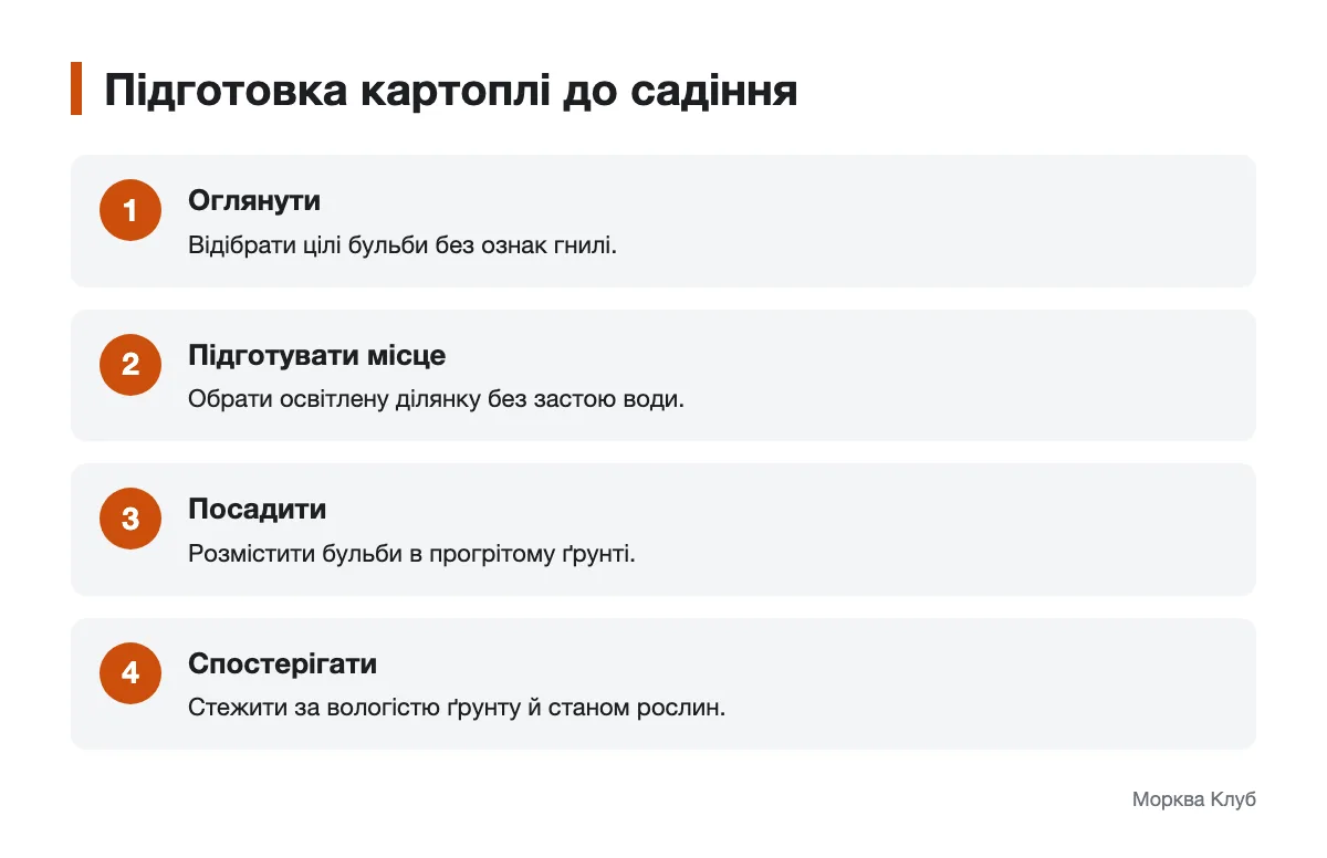 Послідовність підготовки бульб і ділянки до садіння картоплі