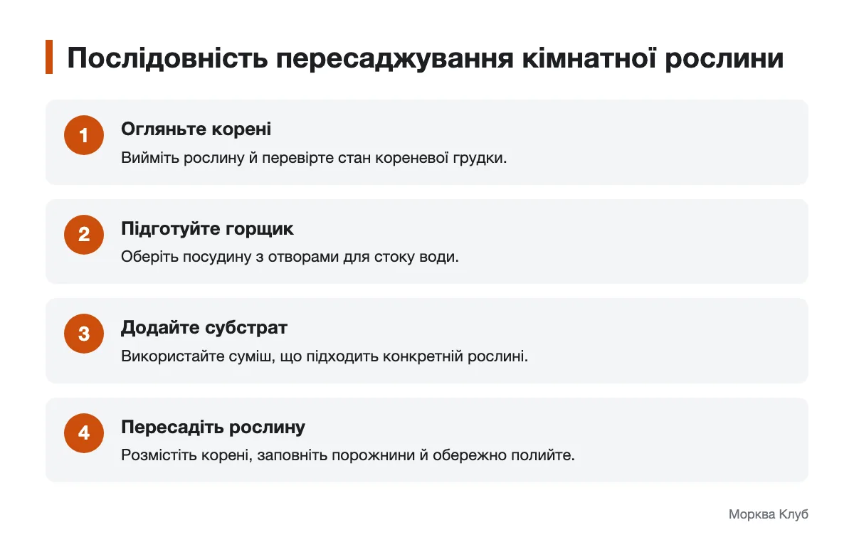 Схема послідовності пересаджування кімнатної рослини