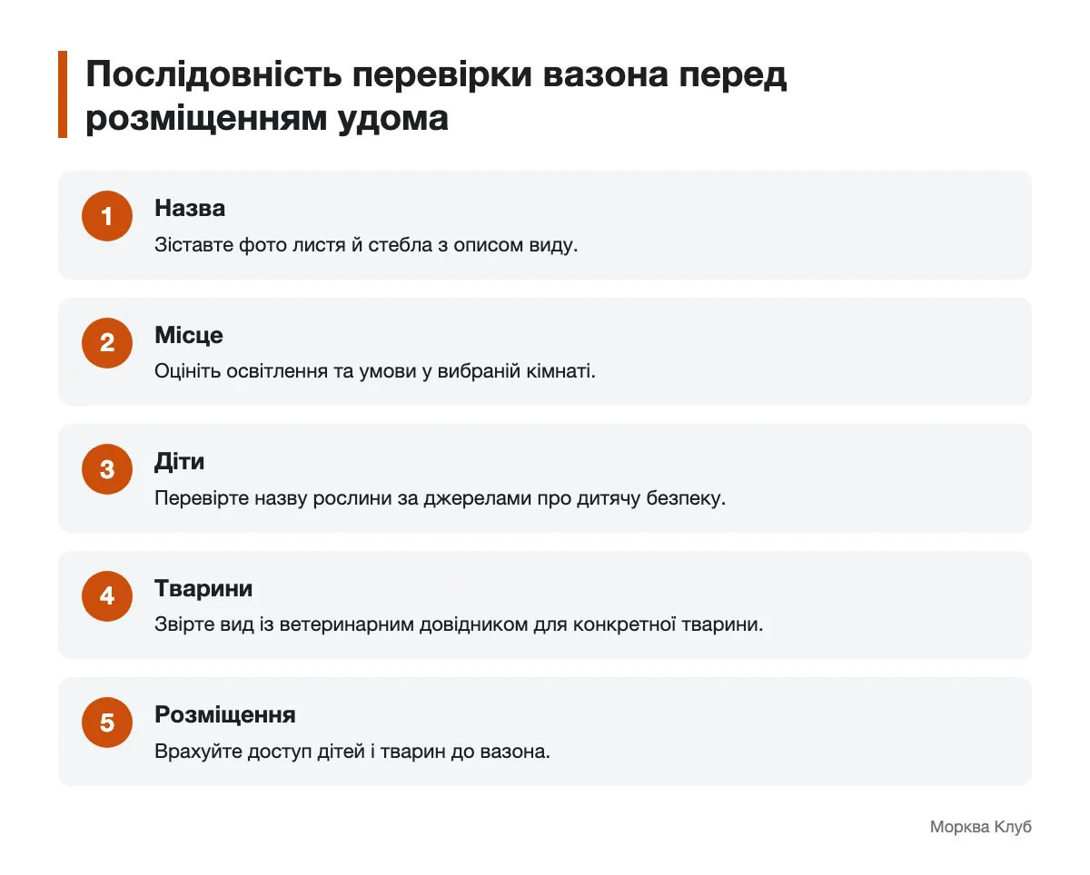 Схема перевірки назви, умов і безпеки кімнатної рослини