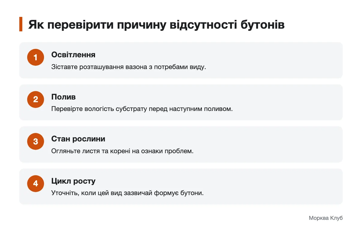 Послідовність пошуку причин відсутності цвітіння Схема перевірки умов, коли кімнатна рослина не формує бутони