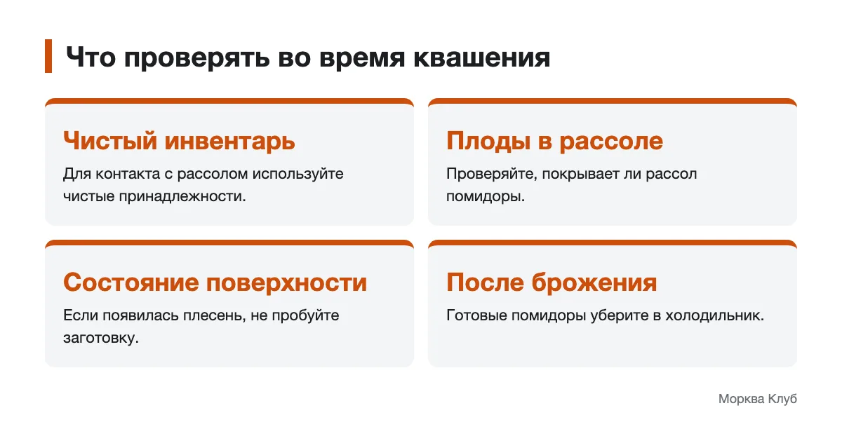 Схема проверки посуды, рассола и поверхности помидоров во время квашения