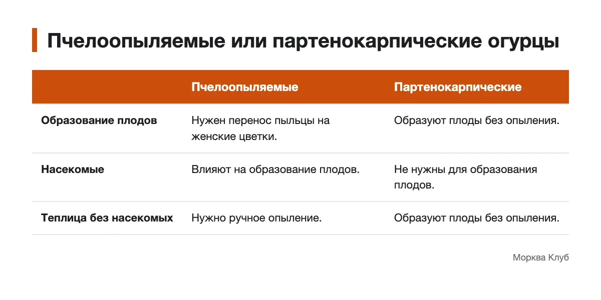 Сравнение пчелоопыляемых и партенокарпических огурцов по потребности в опылении