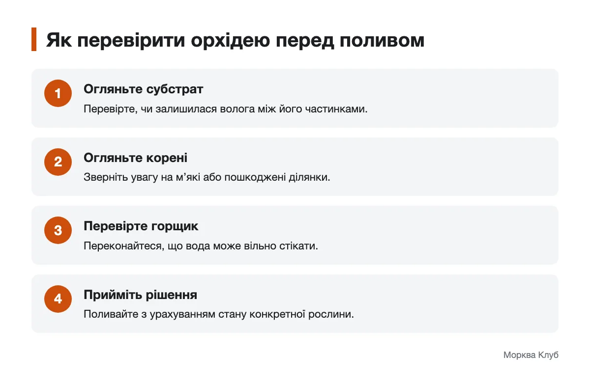 Огляд субстрату, коренів і горщика перед поливом Послідовність перевірки орхідеї перед поливом