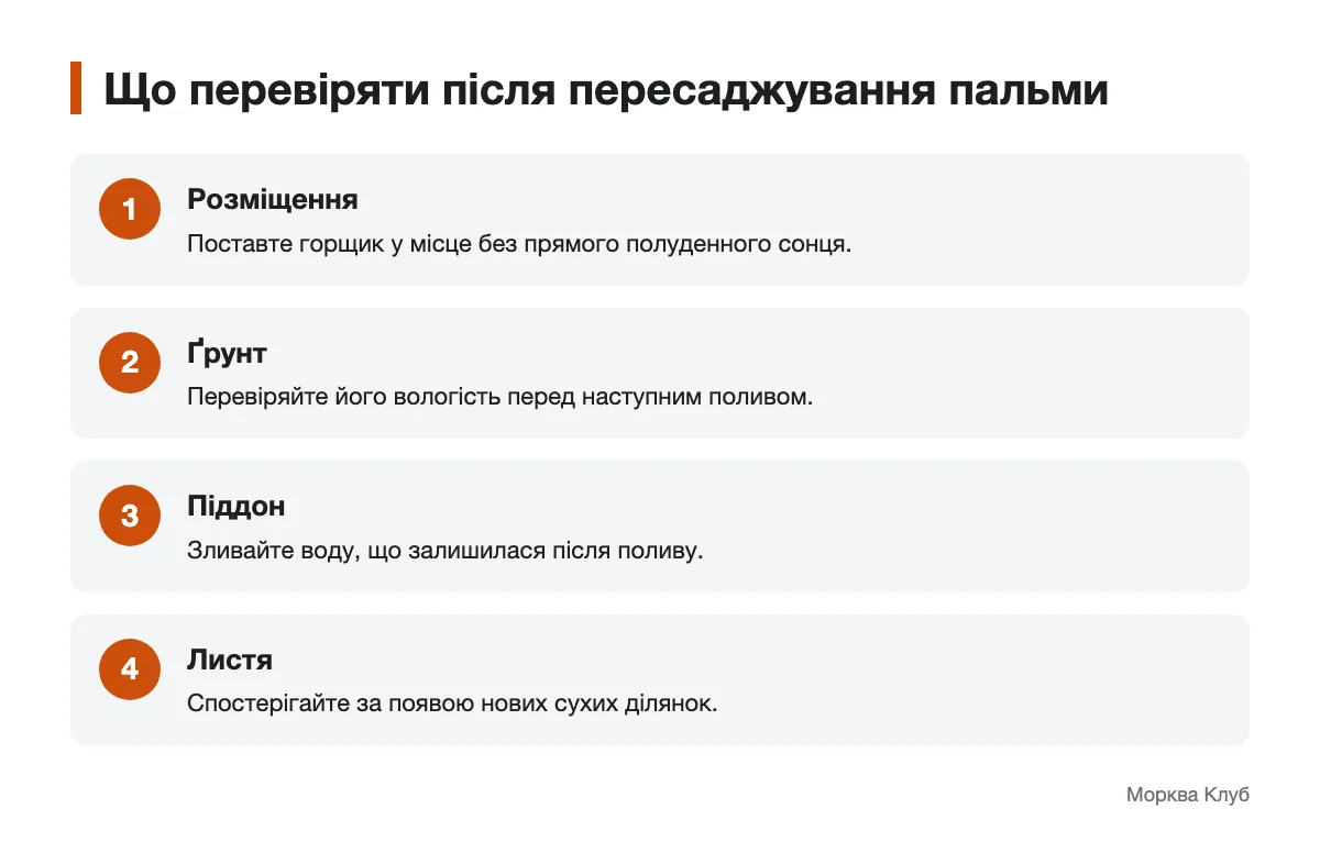 Контроль розміщення, ґрунту, піддона й листя Схема перевірки пальми після пересаджування