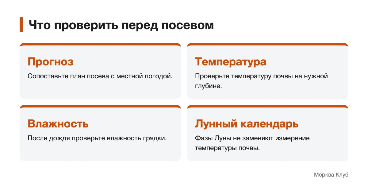 Условия для посева в открытый грунт Ключевые условия посева: местный прогноз, влажность и температура почвы