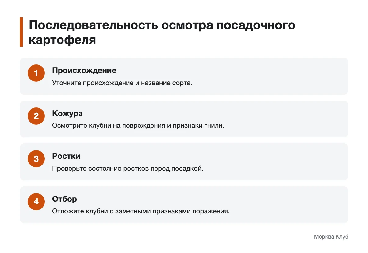 Схема последовательного осмотра посадочных клубней картофеля