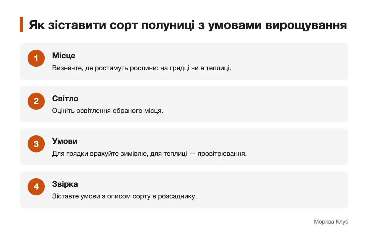 Послідовність вибору сорту полуниці за місцем і умовами вирощування