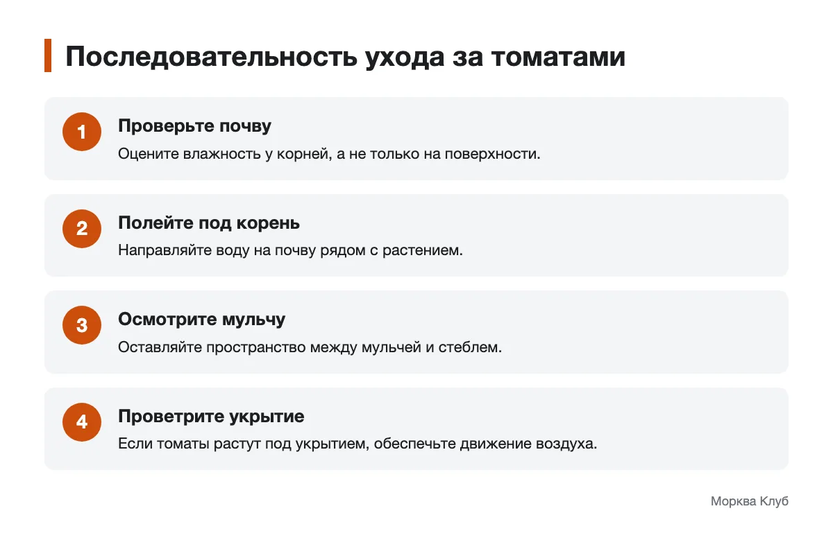 Схема ухода за томатами: проверка почвы, полив, мульча и проветривание