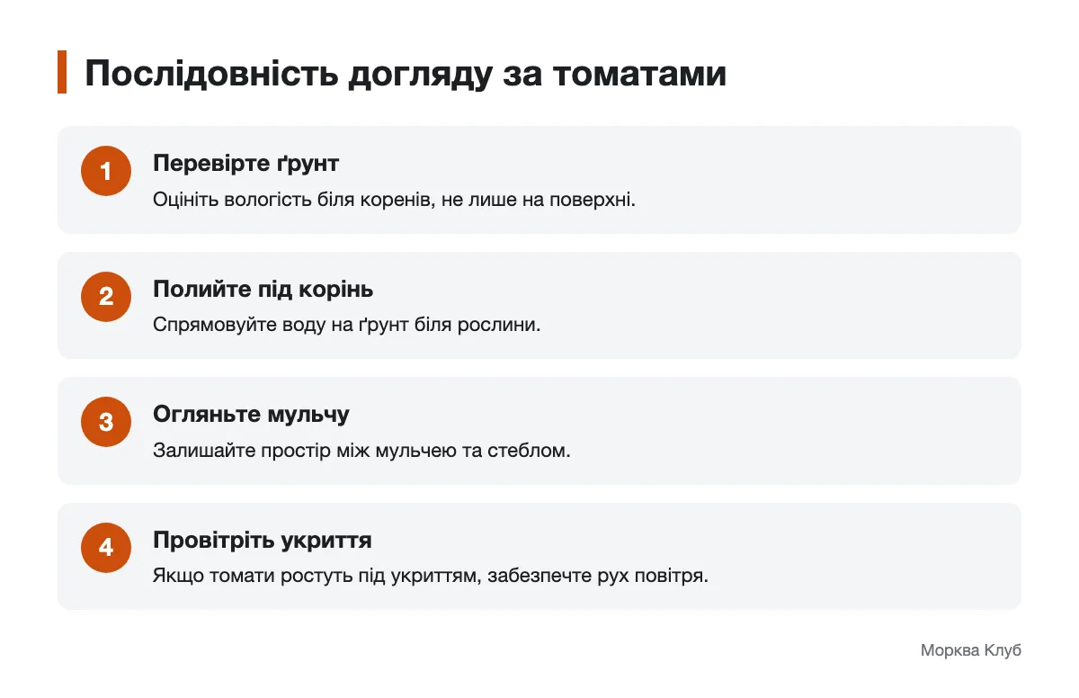 Послідовні дії під час догляду за кущами томатів Схема догляду за томатами: перевірка ґрунту, полив, мульча та провітрювання